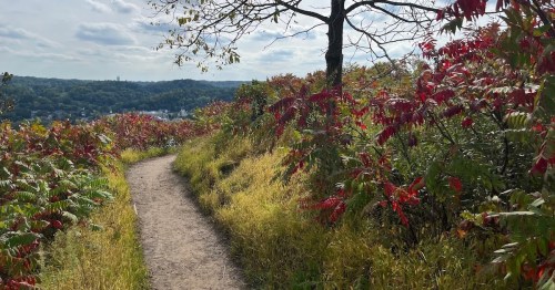 A winding path through vibrant red and green foliage, leading to a scenic view of hills and a cloudy sky.