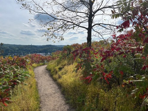 A winding dirt path through vibrant autumn foliage and a distant view of hills under a partly cloudy sky.