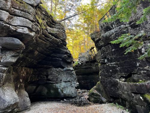 A narrow canyon with towering rock formations and trees above, illuminated by soft autumn light.