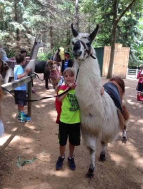 A child in a bright shirt stands next to a llama in a wooded area, smiling and holding the llama's neck.