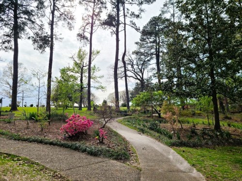 A winding path through a lush garden with blooming flowers and tall trees under a partly cloudy sky.