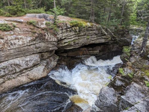 A rocky riverbed with rushing water surrounded by lush green trees and mossy stones.