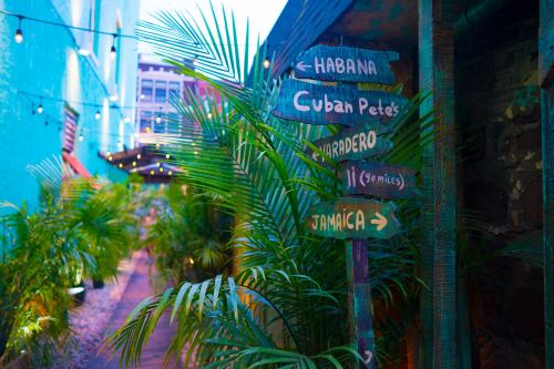 Colorful signposts point to Habana, Varadero, and Jamaica, surrounded by lush greenery and string lights in a vibrant alley.