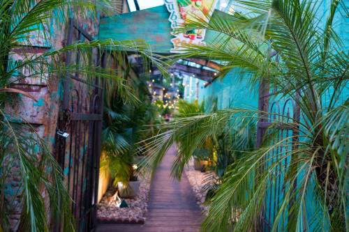 A vibrant pathway lined with palm plants, leading through a colorful, rustic entrance with string lights above.