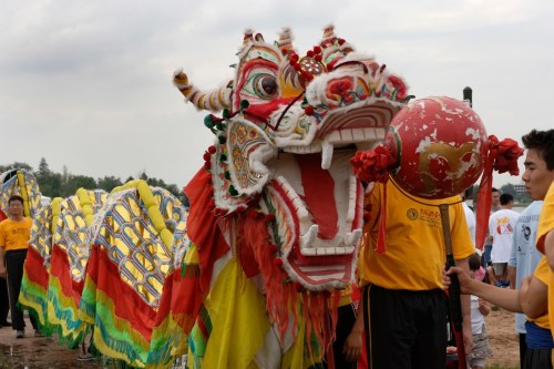 A colorful dragon dance performance with participants in yellow shirts, showcasing a vibrant dragon head and tail.