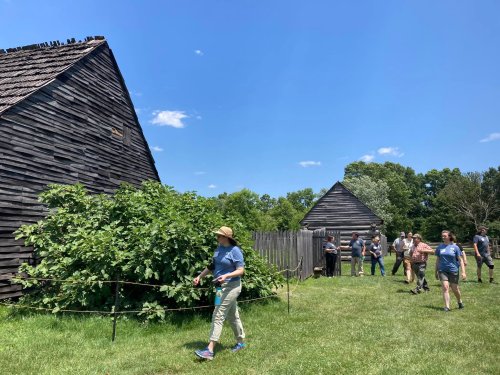 Visitors explore a historic site with wooden buildings and lush greenery under a clear blue sky.