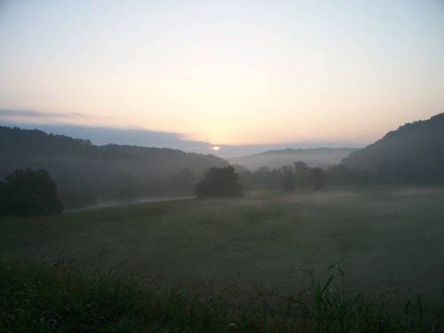 A serene landscape at dawn, with mist rising over a green field and hills under a soft, colorful sky.