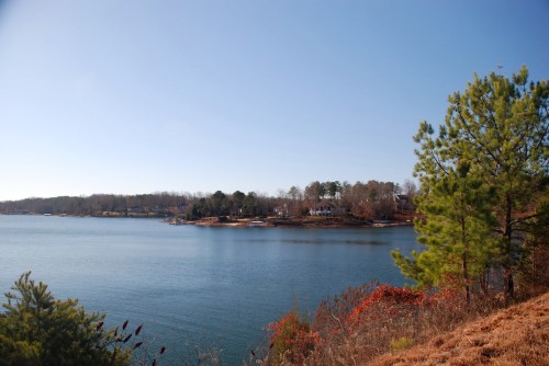 A serene lake view with trees and a clear blue sky, reflecting calm waters and distant houses along the shore.