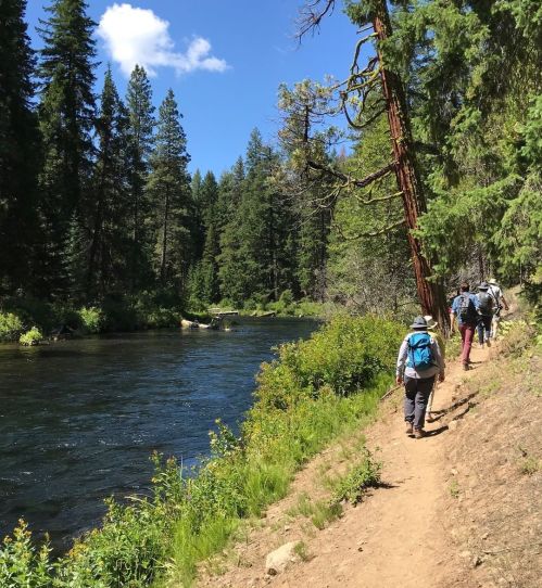 A group of hikers walks along a riverbank surrounded by tall trees and a clear blue sky.