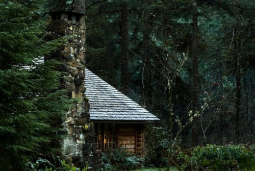 A rustic stone cabin nestled in a dense forest, surrounded by lush greenery and tall trees.