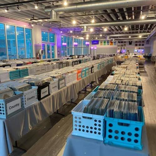 A spacious room filled with bins of vinyl records organized by genre, with large windows and ambient lighting.