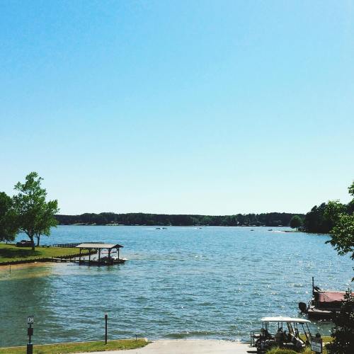 A serene lake view with clear blue skies, boats on the water, and green trees lining the shore.
