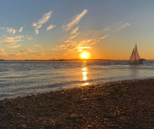 A serene sunset over water, with a sailboat gliding by and city skyline in the distance, reflecting golden hues.