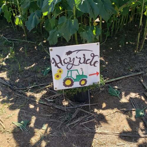 Sign for a hayride featuring a green tractor and a sunflower, surrounded by tall plants in a field.