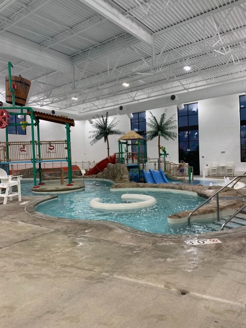 Indoor water park featuring a pool, water slide, play structures, and palm trees.
