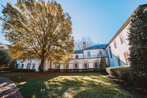 A sunny view of a white brick building with large windows, surrounded by green grass and a tall tree.