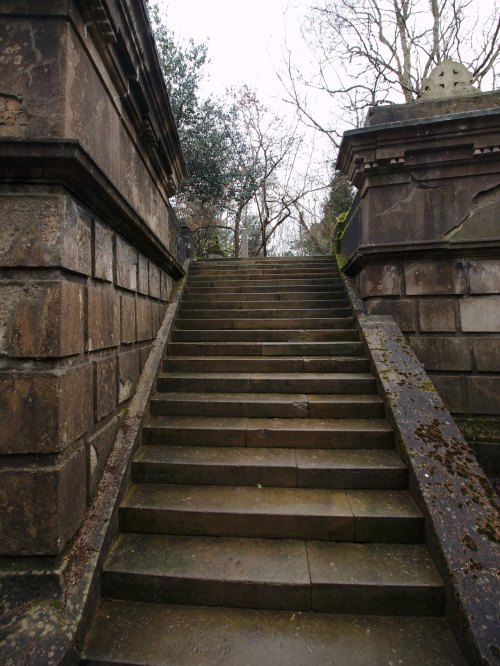 Stone steps lead upward between weathered walls, surrounded by trees and a cloudy sky.