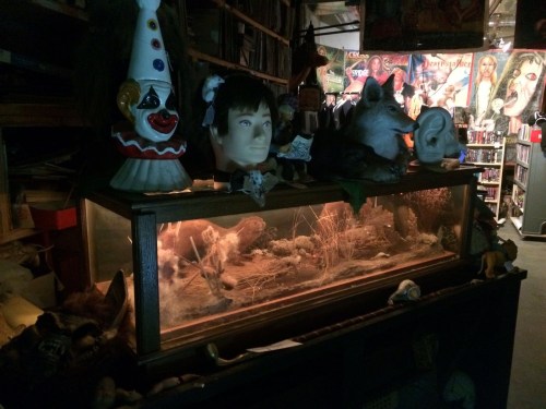 A display case filled with oddities, including a clown head, animal figures, and various eclectic decorations.