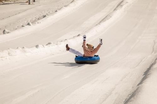 A person in winter attire joyfully sleds down a snowy hill on a blue inner tube, arms raised in excitement.