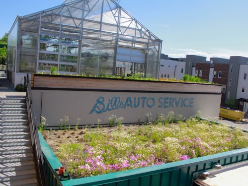 A rooftop garden with flowers and greenery, featuring a sign that reads "Bill's Auto Service" on a building.