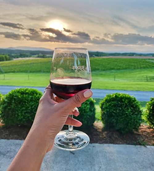 A hand holding a glass of red wine against a scenic sunset view over green hills.