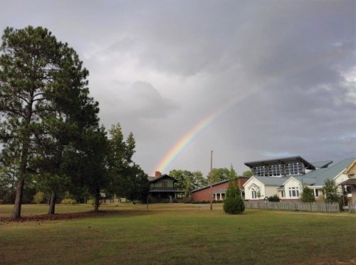 A rainbow arcs over a grassy field with houses and trees under a cloudy sky.