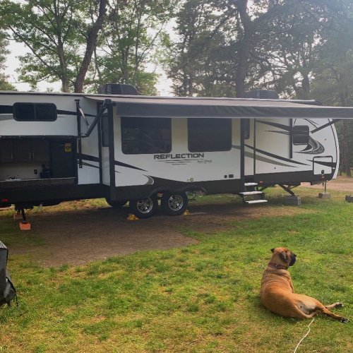 A parked RV in a wooded area with a dog lying on the grass nearby.