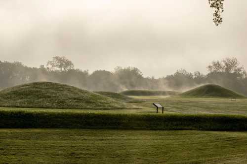 Misty landscape of rolling green hills with a signpost, surrounded by trees in a serene, early morning setting.