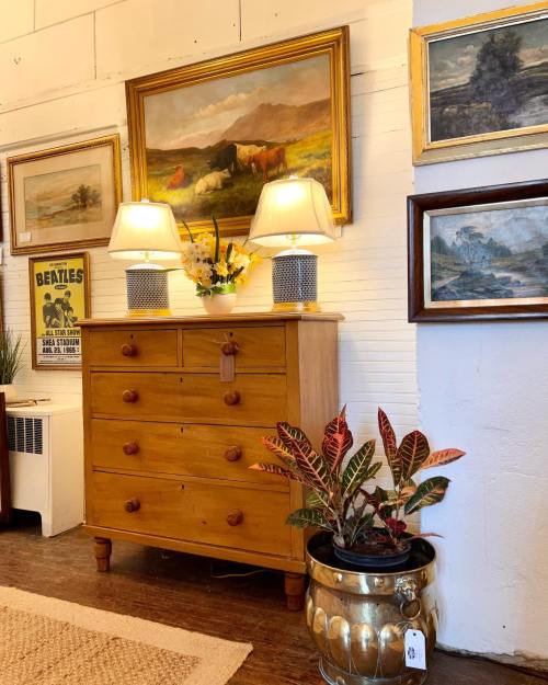A wooden dresser with lamps and artwork on the walls, alongside a potted plant in a decorative pot.