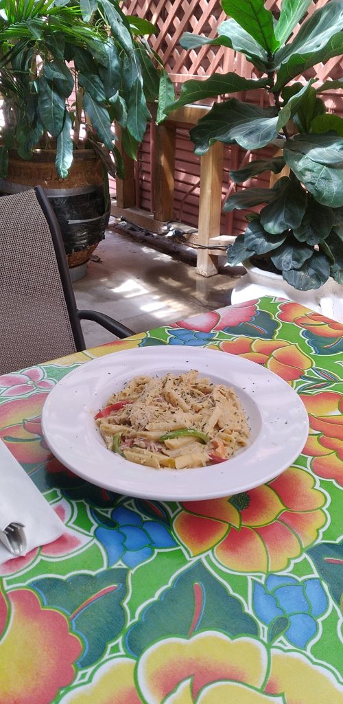 A plate of pasta with vegetables sits on a colorful floral tablecloth in a tropical setting.