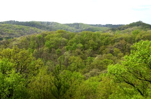 Lush green hills stretch across the landscape under a bright, cloudy sky, showcasing vibrant foliage in spring.
