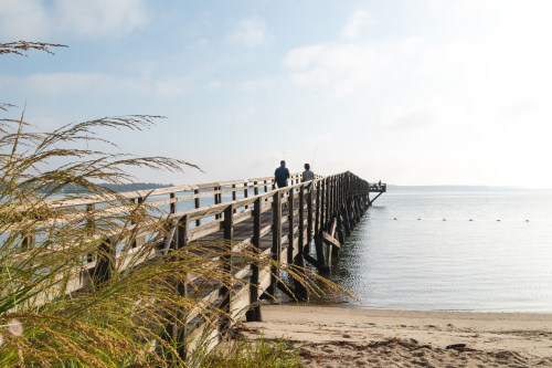 Two people fish from a wooden pier extending over calm water, with tall grass in the foreground and a hazy sky.