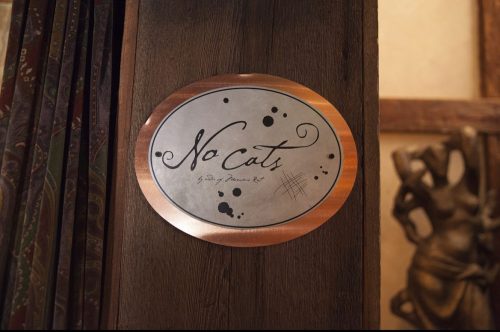 A decorative sign on a wooden surface reads "No Cats" with artistic splatters and a handwritten style.