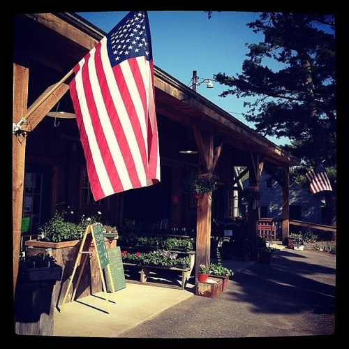 A rustic storefront with an American flag, potted plants, and a welcoming entrance.