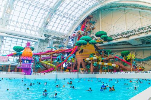 Indoor water park featuring colorful slides, a large pool, and tropical-themed decorations with many people enjoying the water.