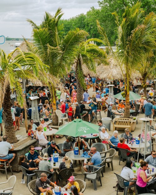 A bustling outdoor bar scene with palm trees, crowds of people socializing, and tables under umbrellas.
