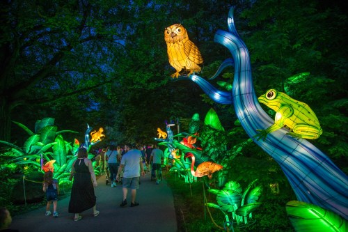 Colorful illuminated animal lanterns line a path in a lush garden, with visitors walking through at dusk.