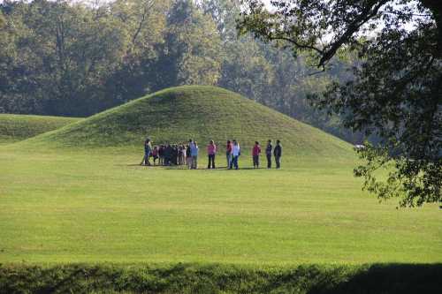 A group of people gathers near a large grassy mound in a park, surrounded by trees and open green space.