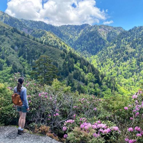 A person stands on a rocky outcrop, surrounded by blooming flowers, gazing at lush green mountains under a blue sky.
