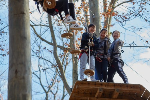 Three people smile on a wooden platform in a treetop adventure course, surrounded by trees and blue sky.