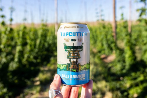 A hand holds a can of Topcutter IPA in a hop field, showcasing its colorful label and vibrant green plants in the background.
