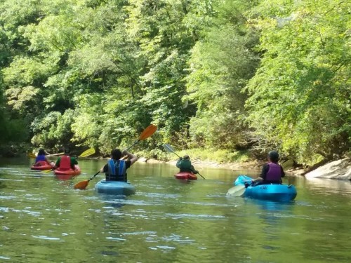 A group of kayakers paddles down a serene river surrounded by lush green trees.