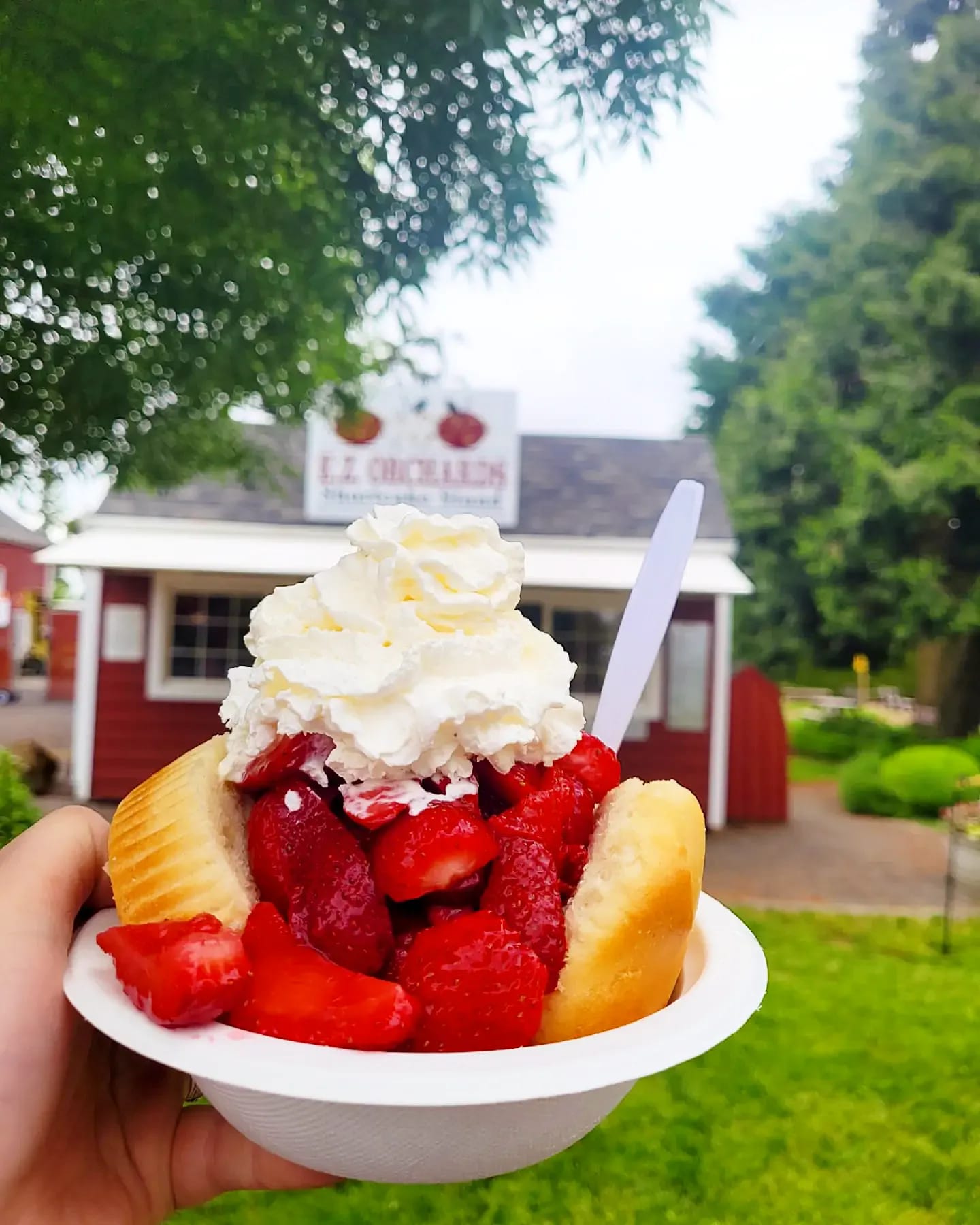 This Farm Stand Has The Best Strawberry Shortcake In Oregon