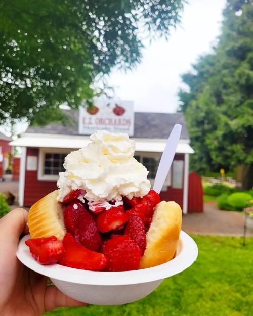 A hand holding a bowl of strawberries topped with whipped cream, in front of a red building with a sign.