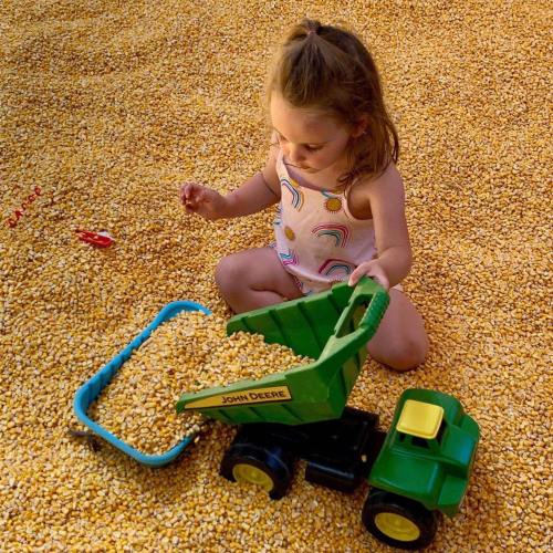 A young child plays in a pile of corn kernels, using a toy tractor to scoop and transport the corn.