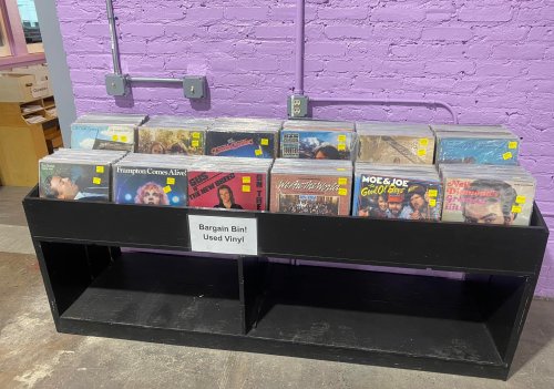 A black shelf displaying used vinyl records with a sign reading "Bargain Bin!" against a purple brick wall.