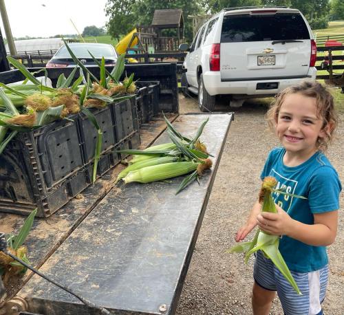 A smiling child holds fresh corn while standing next to a truck on a farm.