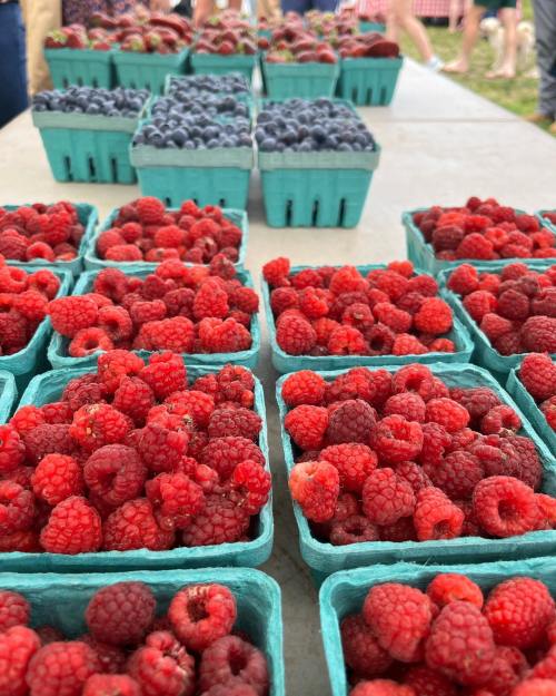 Baskets of fresh raspberries and blueberries arranged on a table at a market, with people in the background.