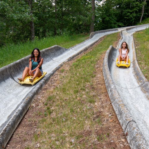 Two children ride down a grassy slide on yellow sleds, surrounded by trees and a winding path.