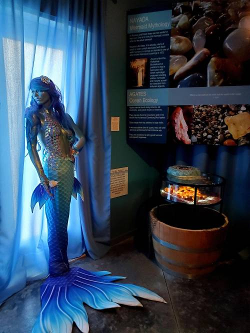 A mermaid statue with blue hair and a shimmering tail stands beside a display about marine mythology and agates.